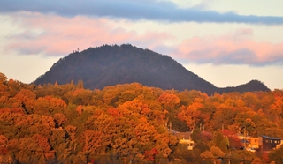 紅葉した木々の上をクジラが泳いでいるように見える＝三田市川除から