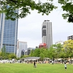 リニューアルで緑の芝生が敷き詰められた東遊園地＝２０２３年４月、神戸市中央区加納町６