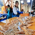 水揚げされて競り場に並ぶ松葉ガニ＝６日午前、浜坂漁港