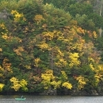 湖畔を染める色づいた木々＝朝来市生野町、銀山湖