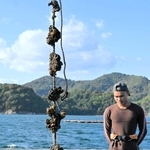 養殖いかだから引き揚げられたカキ＝赤穂市坂越湾沖