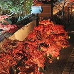 静かな境内でライトアップされる紅葉＝川西市満願寺町