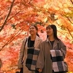 紅葉で鮮やかに染まった瑞宝寺公園＝神戸市北区有馬町