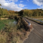 穂坂修ちゃんの遺体が遺棄されていた現場周辺＝１９日午後、神戸市西区平野町慶明