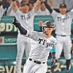 猛虎ファン待望の和製大砲として充実のシーズンを送った佐藤輝明内野手＝西宮市の甲子園球場