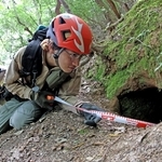 近畿北部地域個体群西側のエリアの山中でツキノワグマが冬眠していたとみられる穴を調べる＝６月２２日（撮影・小林良多）