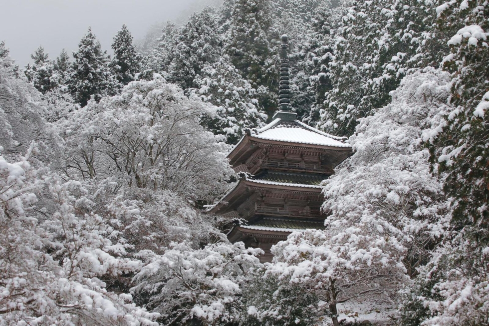 寒気で冷え込み、兵庫県北部中心に積雪 三田など7地点で氷点下|社会