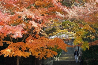 境内を彩る紅葉＝南あわじ市、成相寺（撮影・大田将之）