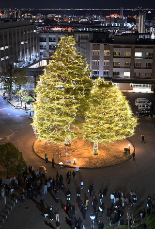 キャンパスを彩るイルミネーション＝神戸市灘区六甲台町、神戸大学
