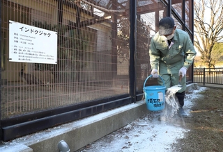 クジャクなどの鳥舎周辺に消石灰を散布する職員＝姫路市立動物園（撮影・辰巳直之）