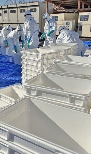 鳥インフルエンザが発生した養鶏場で作業を進める防護服姿の兵庫県職員ら＝１６日午前、姫路市内（県提供）