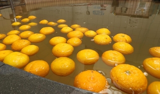 冬至に合わせて提供されたゆず湯＝２２日午後、神戸市灘区備後町３