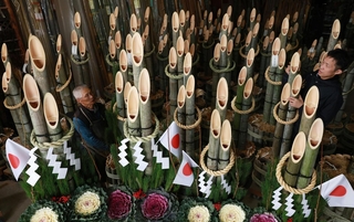 正月に向けて出荷が最盛期を迎えている門松＝小野市垂井町