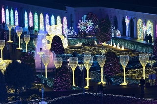 きらびやかな電飾で彩られる会場＝２４日夜、神戸市北区大沢町上大沢（撮影・風斗雅博）