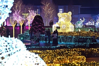 きらびやかな電飾で彩られ、にぎわう会場＝２４日夜、神戸市北区大沢町上大沢（撮影・風斗雅博）