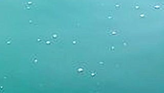 海底から浮かび上がってくる気泡＝２０２４年１１月、播磨灘（香川大提供）