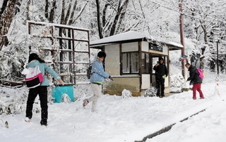 バスを待つ間、雪を楽しむシンガポールからの観光客たち＝２６日午後、豊岡市日高町栗栖野（撮影・阿部江利）