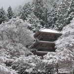 雪で水墨画のような光景を織りなす高源寺の境内＝４日午前、丹波市青垣町桧倉