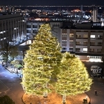 キャンパスを彩るイルミネーション＝神戸市灘区六甲台町、神戸大学