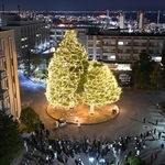 キャンパスを彩るイルミネーション＝神戸市灘区六甲台町、神戸大学