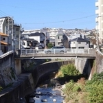 住宅街にかかる瑞穂橋。シイタケは、ここから下流域（手前）に残っていたという＝神戸市垂水区山手６