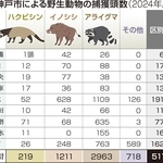 神戸新聞ＮＥＸＴ