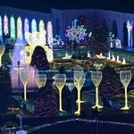 きらびやかな電飾で彩られる会場＝２４日夜、神戸市北区大沢町上大沢（撮影・風斗雅博）