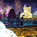 きらびやかな電飾で彩られ、にぎわう会場＝２４日夜、神戸市北区大沢町上大沢（撮影・風斗雅博）