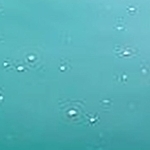 海底から浮かび上がってくる気泡＝２０２４年１１月、播磨灘（香川大提供）