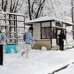 バスを待つ間、雪を楽しむシンガポールからの観光客たち＝２６日午後、豊岡市日高町栗栖野（撮影・阿部江利）