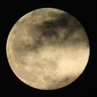 うっすらと雲がかかった満月。飛行機が横切った＝３日午後５時２０分、神戸市中央区から