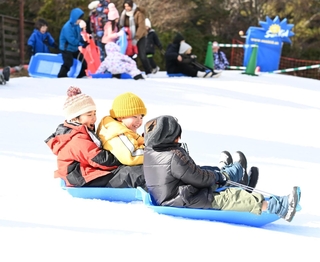 人工雪の斜面で元気にそり遊びをする子どもら＝６日、神戸市灘区六甲山町北六甲、六甲山スノーパーク