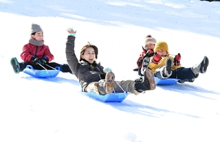 人工雪の斜面で元気にそり遊びをする人たち＝６日、神戸市灘区六甲山町北六甲、六甲山スノーパーク
