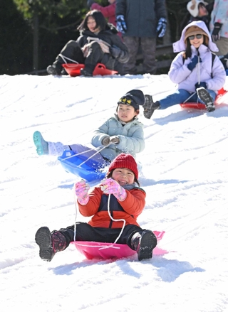 人工雪の斜面で元気にそり遊びをする子どもら＝６日、神戸市灘区六甲山町、六甲山スノーパーク