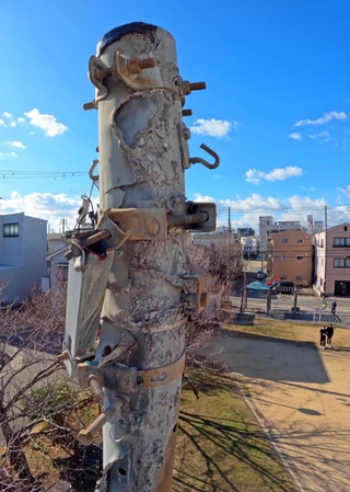 震災の記憶を伝える、物言わぬ語り部。区画整理された街並みの中で立つ＝神戸市長田区御蔵通５、御蔵北公園