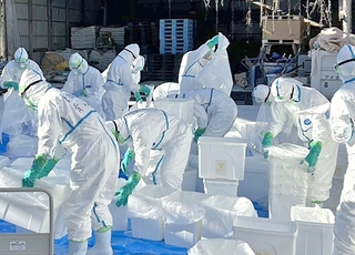 高病原性鳥インフルエンザ陽性のニワトリが出た養鶏場で、処分作業を実施する県職員ら＝８日午前、姫路市内（兵庫県提供）