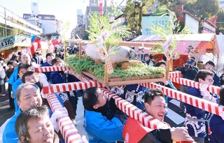 奉納するまぐろを神輿に載せて練り歩く氏子ら＝９日午前、神戸市兵庫区西柳原町、柳原蛭子神社（撮影・鈴木雅之）