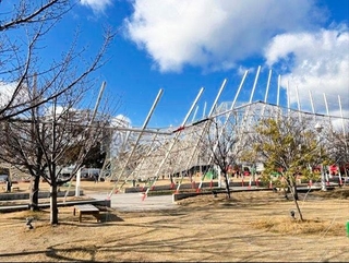 一部が倒れた神戸ルミナリエの作品。強風にあおられたとみられる＝１月１１日朝、神戸市中央区のメリケンパーク