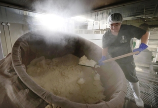 甘い香りと湯気が立ち、蒸し上がった酒米＝20日午前、神戸市東灘区御影塚町１