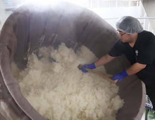 甘い香りと湯気が立ち、蒸し上がった酒米＝20日午前、神戸市東灘区御影塚町１