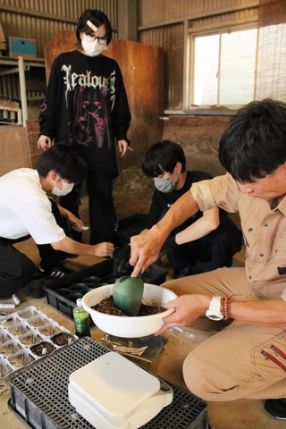 土に竹チップ入り堆肥を混ぜた花きの生育試験に取り組む神戸学院大の菊川裕幸講師ら＝２０２５年９月、神戸市西区伊川谷町上脇