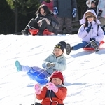 人工雪の斜面で元気にそり遊びをする子どもら＝６日、神戸市灘区六甲山町、六甲山スノーパーク