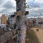 震災の記憶を伝える、物言わぬ語り部。区画整理された街並みの中で立つ＝神戸市長田区御蔵通５、御蔵北公園