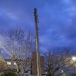 公園の一角に立つ電柱＝神戸市長田区御蔵通５、御蔵北公園（撮影・中西大二）