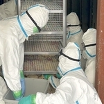 高病原性鳥インフルエンザ陽性のニワトリが出た養鶏場で、処分作業を実施する県職員ら＝８日午前、姫路市内（兵庫県提供）