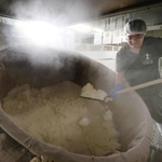 甘い香りと湯気が立ち、蒸し上がった酒米＝20日午前、神戸市東灘区御影塚町１