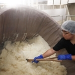 甘い香りと湯気が立ち、蒸し上がった酒米＝20日午前、神戸市東灘区御影塚町１