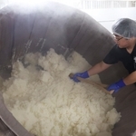 甘い香りと湯気が立ち、蒸し上がった酒米＝20日午前、神戸市東灘区御影塚町１