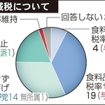 消費税減税について