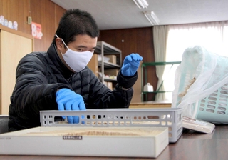 一般就労を目指し、就労支援事業所で黙々と作業に打ち込む山本幹太さん＝丹波市内